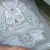 Dtf training transferpersshop 2 Dtf training transferpersshop 2